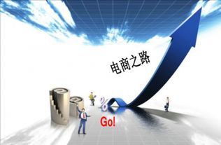 從運營專家到教育引路人 圖零科技白楊的網絡技術教育之路